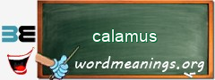 WordMeaning blackboard for calamus